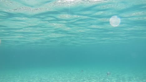 Mar-Océano-Agua-Clara-Bajo-El-Agua-Con-Peces-Pequeños,-Ver-A-Través-De-Color-Turquesa