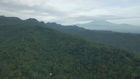 Drone-flying-moving-backward-over-endless-forest-on-the-hills