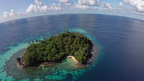 aerial view of a lush, tropical island surrounded by clear blue water, captured from a high angle