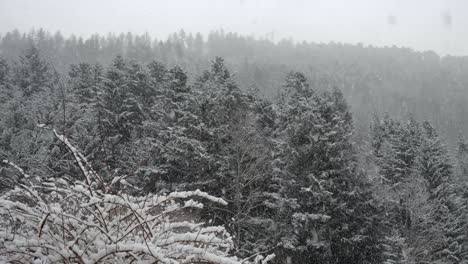 snow falling heavily on a mountain landscape with trees in winter