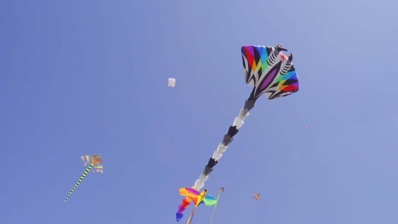 Färgglada drakar som flyger högt på den blå himlen under den traditionella festivalen i Cholula, Puebla, Mexiko
