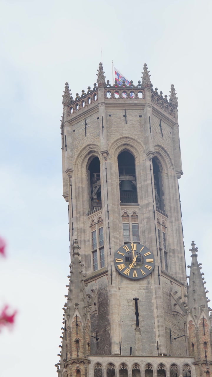 Medieval clock tower rises above blurred pink flowers, static camera, soft daylight, overcast sky