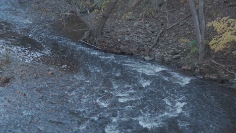 Der-Wissahickon-Creek-Fließt-über-Felsen-Und-Steine