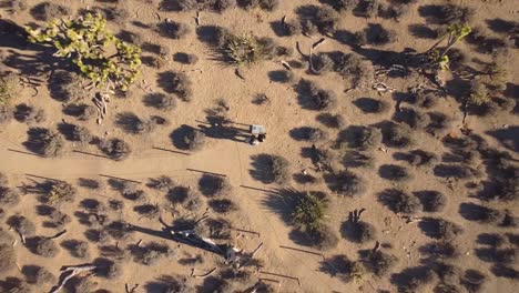 Top-down-view-patterns-in-California-desert-landscape,-Joshua-Tree,-tourist-travelers-looking-at-a-map