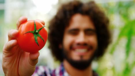 hombre feliz mostrando tomate fresco
