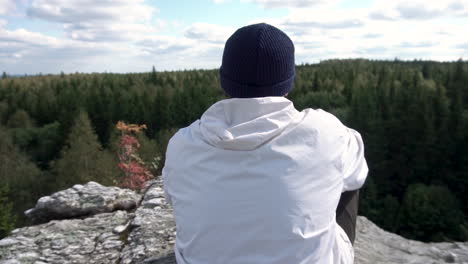 person sitting on a cliff overlooking a forest