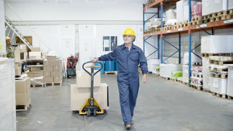 Focused-male-worker-pulling-trolley-with-goods-in-warehouse