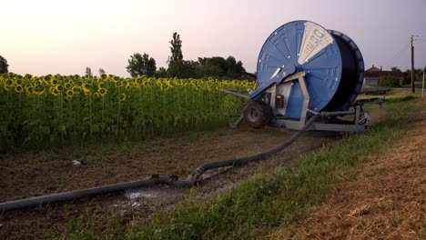 Static-shot-with-active-irrigation-system-watering