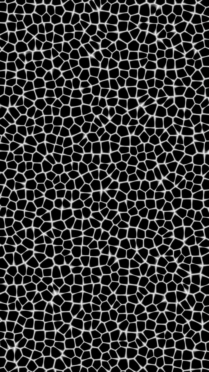 Vertical video of dense black cells network with white outlines on black background, seamless loop