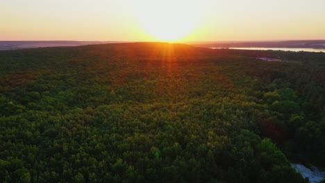 evening landscape of trees. view from above on green top trees with orange rays of the setting sun. beautiful nature at sunset. camera rising up.