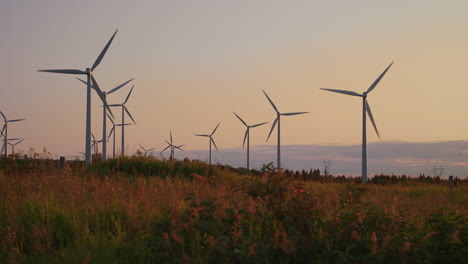 wind turbines farm producing green energy, wide shot static