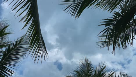 dragonflies gliding low between swaying palm trees under a cloudy sky.