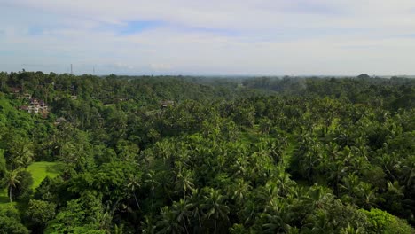 Fly-over-the-lush-green-canopy-of-Sayan,-Ubud-Jungle-in-Bali,-Indonesia-capturing-the-untouched-beauty-of-this-tropical-paradise-from-above