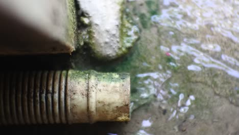 water coming out of washing machine drain pipe