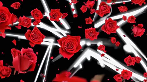 delicate red rose petals drifting softly against dark background, generating graceful white motion trails, evoking romantic and elegant visual narrative about love and passion