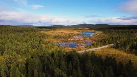 bosque de pinos con pantanos y camión que viaja por la carretera, vista aérea