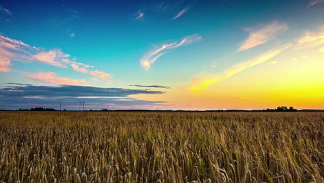 white clouds in a blue orange sky over a field