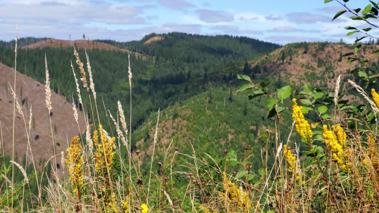 아름다운 녹색 오레곤 광야의 능선이 드러나도록 기울이십시오.
