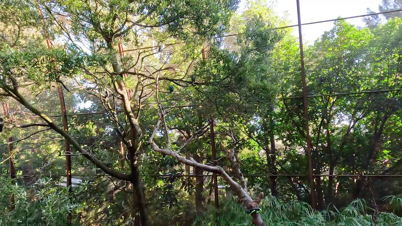 동물원 새집 안 의 울창 한 초록색