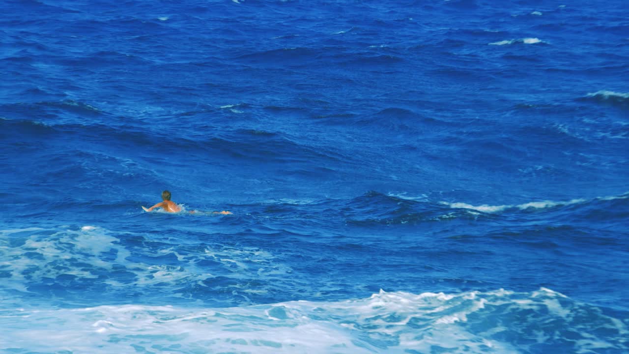 큐라소(curacao)의 아름다운 햇살 가득한 해변에서 서핑을 즐기는 서퍼들의 슬로우 모션 샷