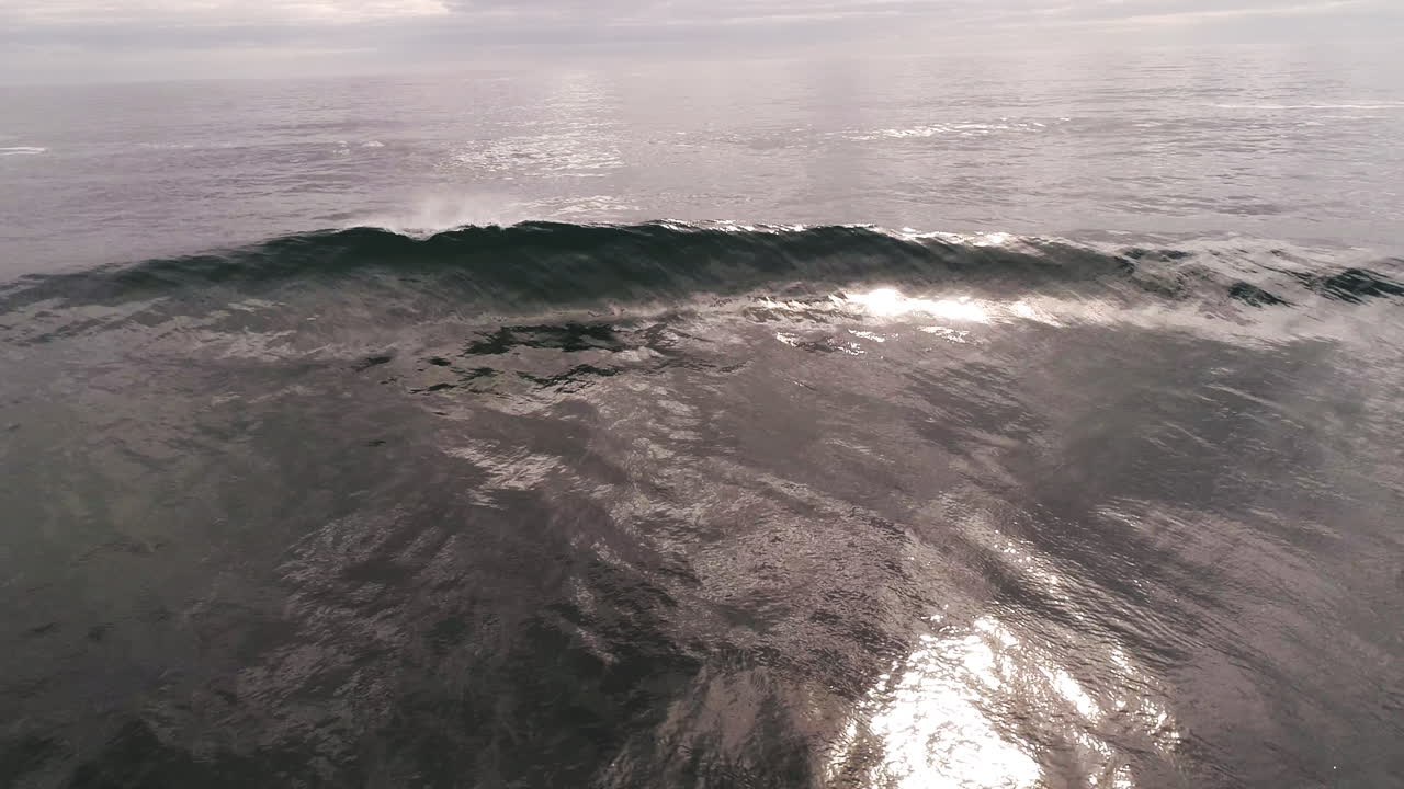 Slow motion sunlight sparkles across cresting wave in serene open sea scene