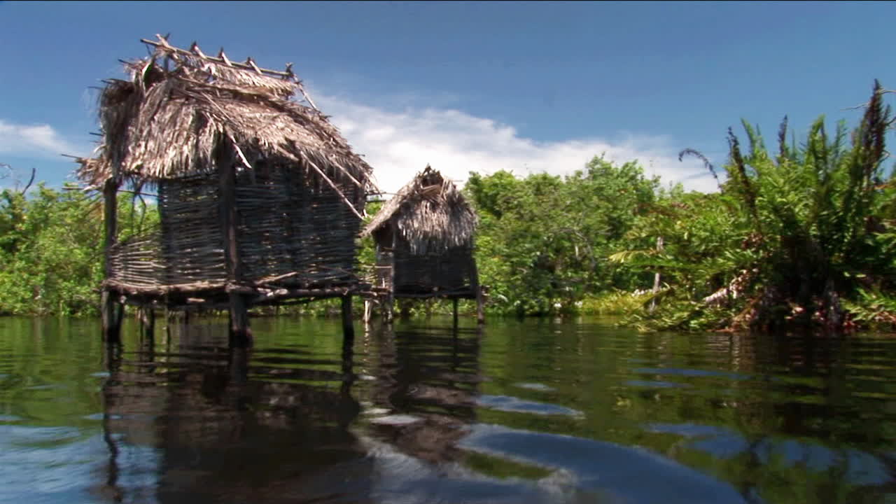 casas con techo de paja sobre pilotes se encuentran en una zona de río tropical 1
