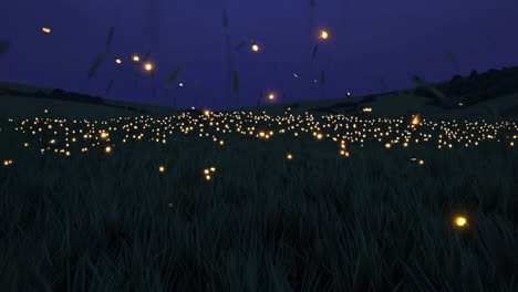 glowing field at night