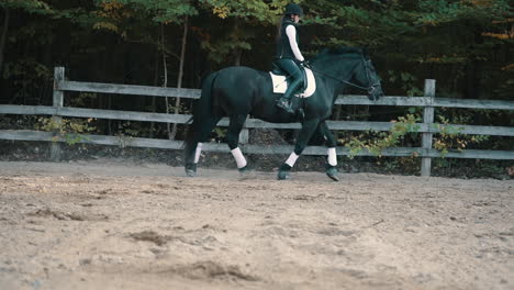 large black horse and female rider trot in slow motion in a sand arena