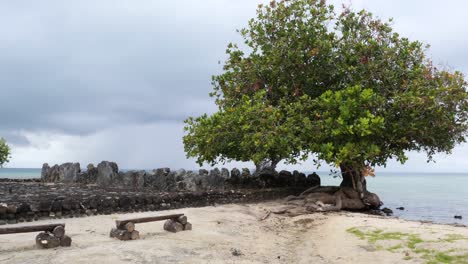 landscape around the sacred place of taputapuatea marae, raiatea, society islands, french polynesia.