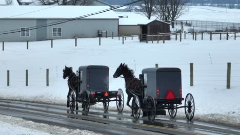 Amish-horse-and-buggies-on-road-among-snow-covered-American-countryside