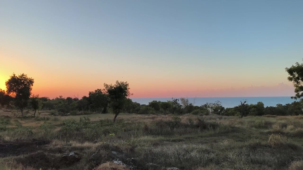 Tramonto sereno su un paesaggio costiero con alberi ed erba