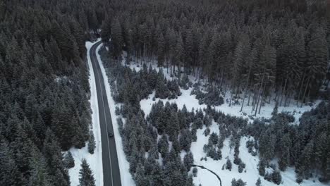 Drohnenaufnahmen,-Die-Ein-Auto-Auf-Einer-Straße-Durch-Einen-Dichten-Fichtenwald-Fahren