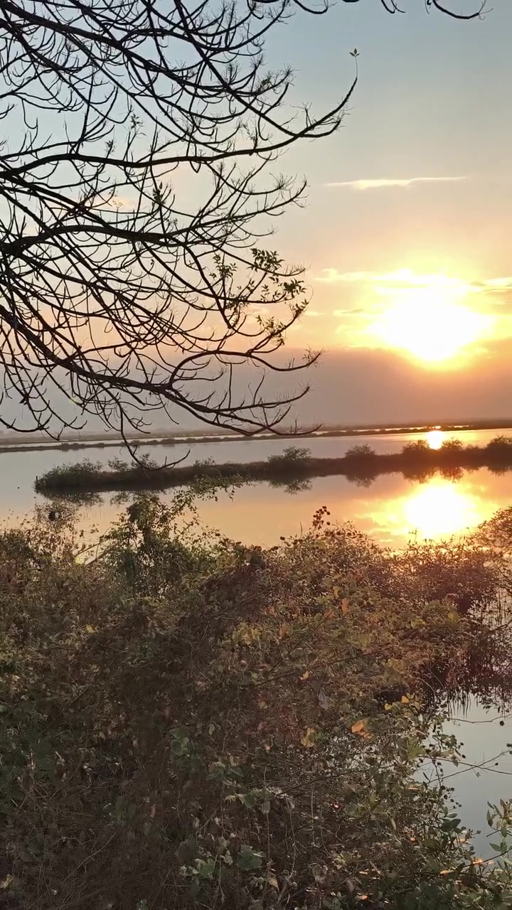 Zlatý západ slunce nad klidným jezerem se siluetami větví stromů