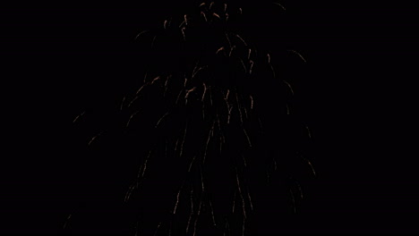 Fireworks-Celebrate