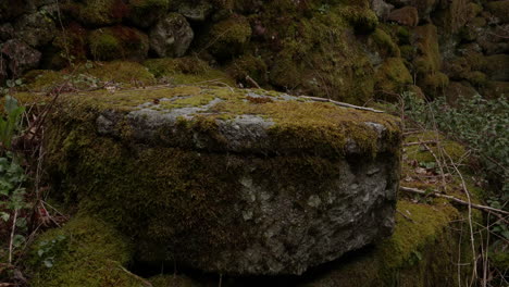 some rural ruins from portugal