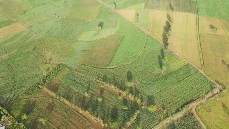 Panorama-of-idyllic-African-farmland,-abstract-pattern-of-fields-aerial-view