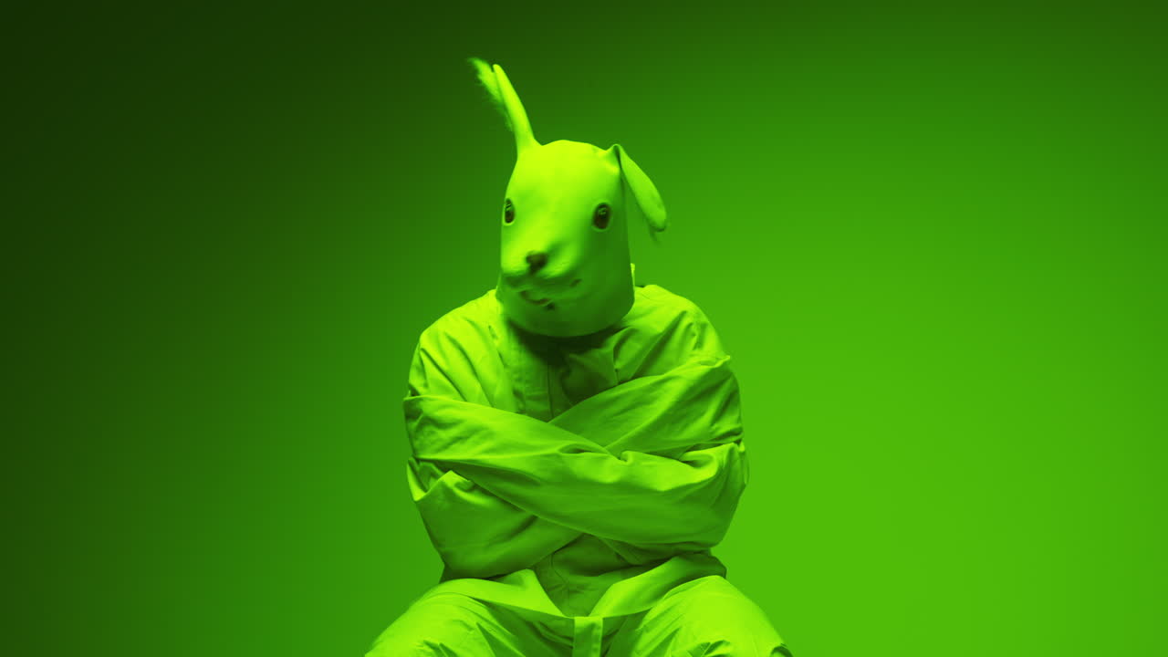 Bound Rabbit Mask Patient