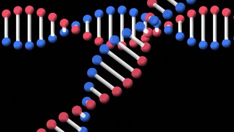 Digitale-Animation-Von-DNA-Strukturen,-Die-Sich-Vor-Schwarzem-Hintergrund-Drehen