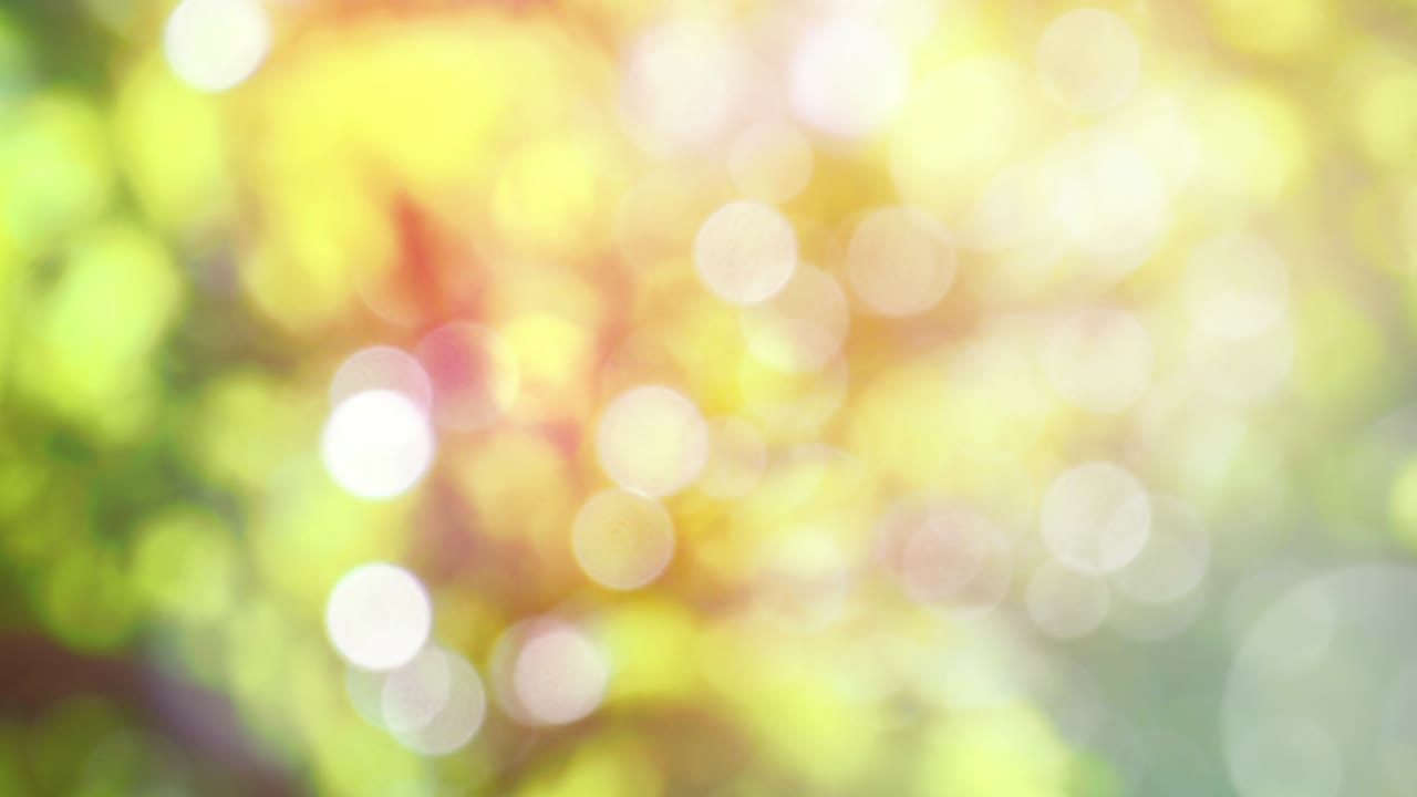 보케와 함께 추상적인 스프링 배경