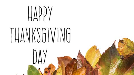 Animation-of-happy-thanksgiving-day-text-over-autumn-leaves-on-white-background