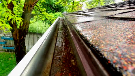rain water is seen falling on a roof and rain gutter. a green yard with trees is seen in the background.