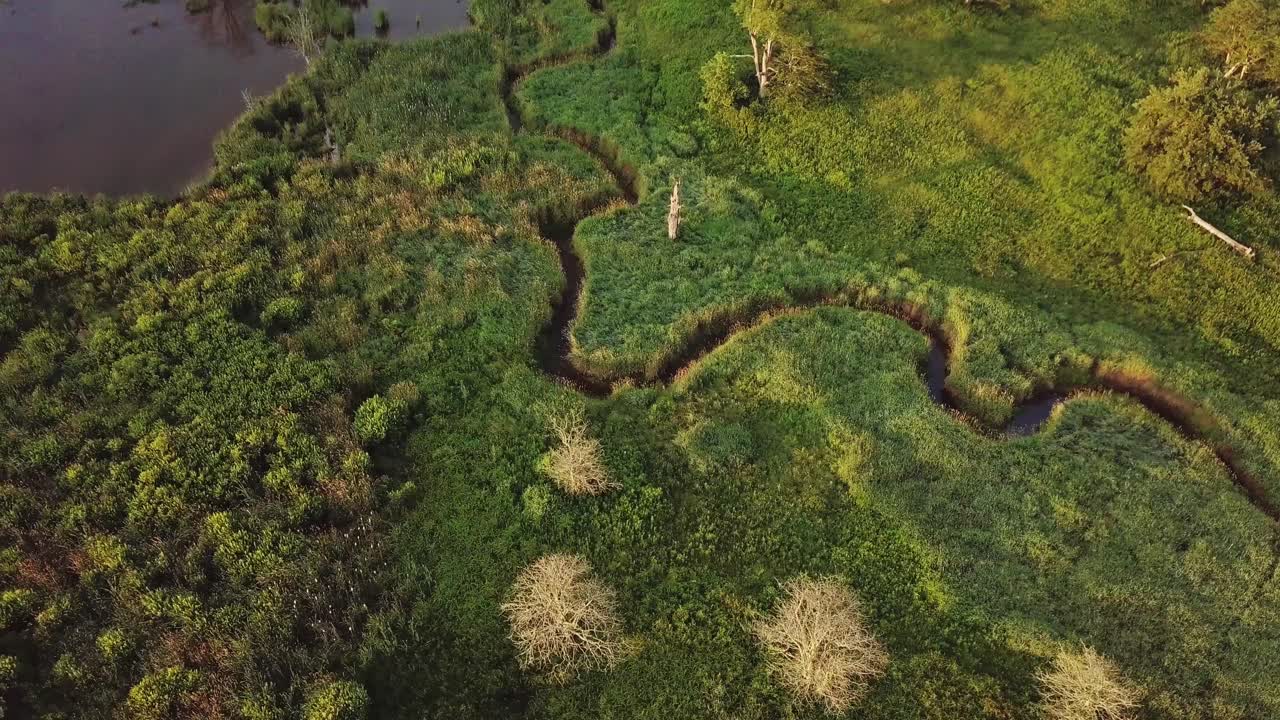 Creek Running Through Feild Into Pond Through Field With Trees And Bushes Cinematic Aerial 4K