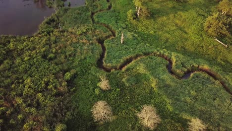 creek running through feild into pond through field with trees and bushes cinematic aerial 4k