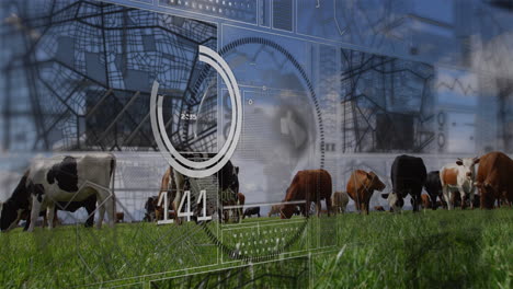 animación de mapas y procesamiento de datos sobre vacas en el campo