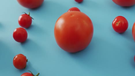 Video-of-fresh-tomatoes-and-cherry-tomatoes-on-blue-background