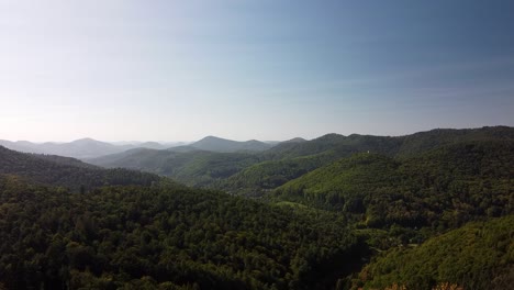 Luftaufnahme-Des-üppigen-Grünen-Waldes-Und-Der-Sanften-Hügel-Des-Pfälzerwaldes-An-Einem-Schönen-Sonnigen-Tag-In-Der-Nähe-Von-Burg-Meistersel-In-Ramberg