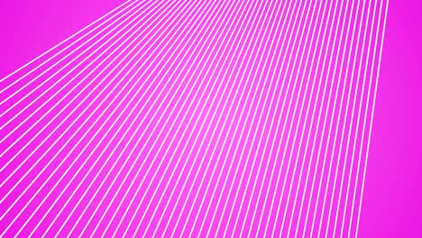 abstract background dancing lines abstract loop geometric pink