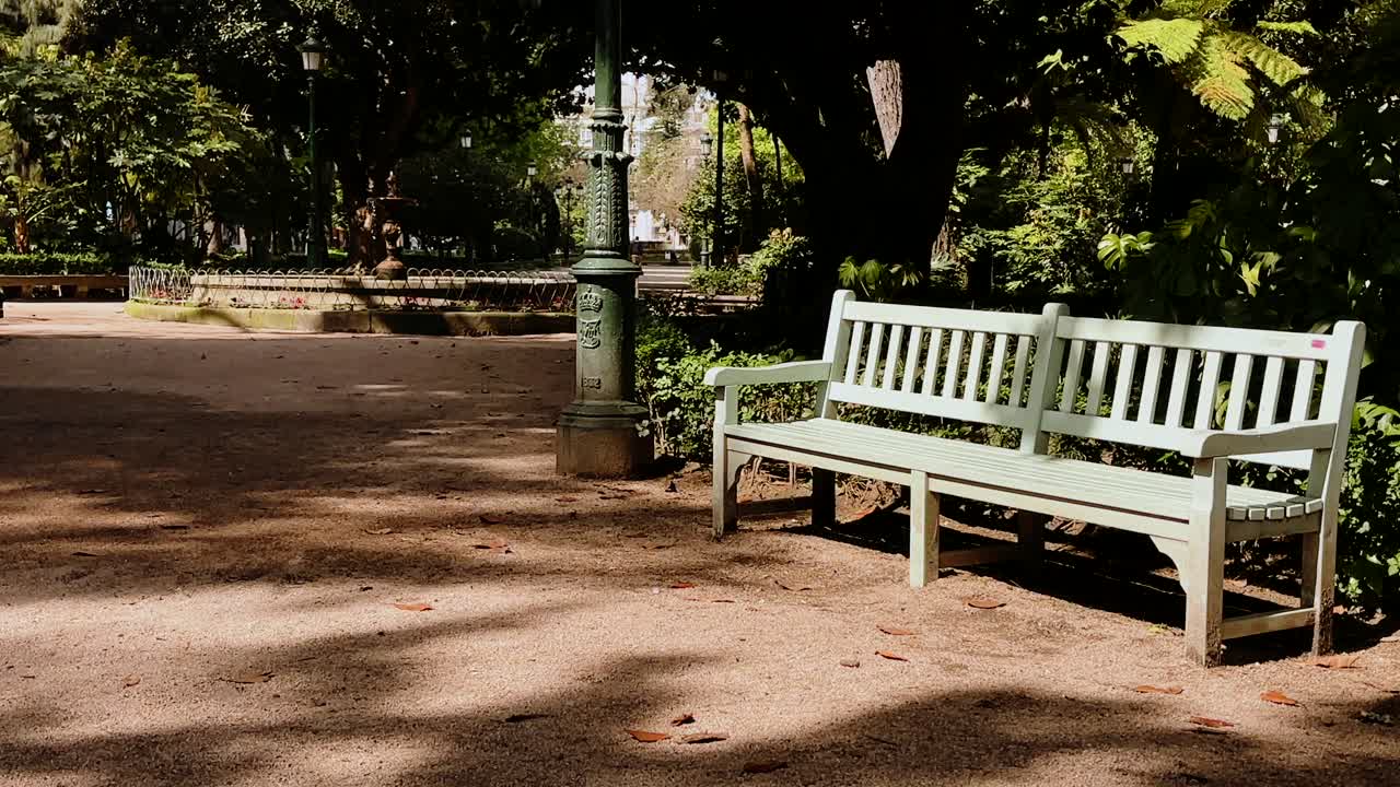 empty green bench in peaceful city park with soft shadows and trees