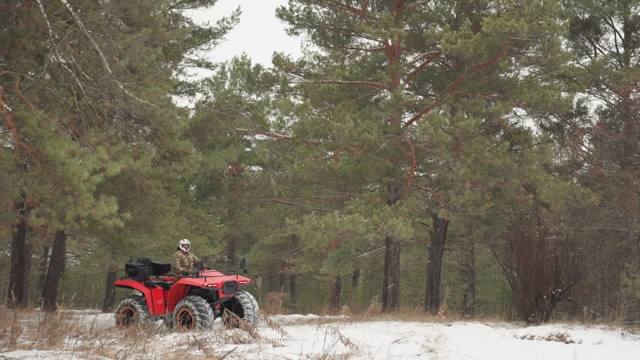 Quad rosso che emerge da una foresta di pini innevata con un pilota che sbircia tra gli alberi, neve che cade dolcemente, tracce fresche su un sentiero soffice, esplorazione fuoristrada silenziosa, luce invernale nitida, serena avventura all'aperto.