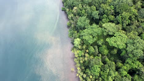 Beutiful-blue-water-beach-surrounded-by-vegetation